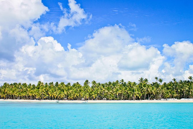 Saona Island Full Day From Punta Cana - What the $59.99 price really covers
