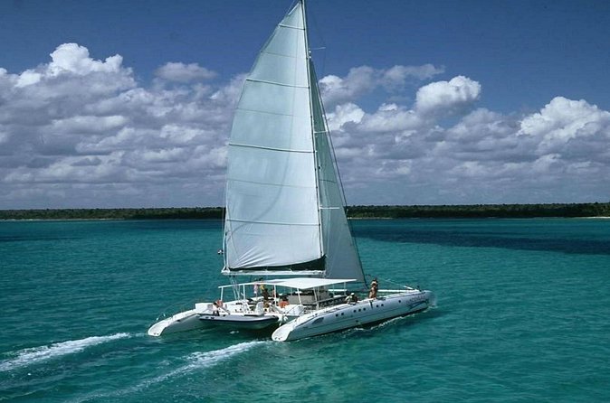 Saona Island Full Day Tour Lunch and Transportation Included - Saona Island and lunch by Virginia Beach