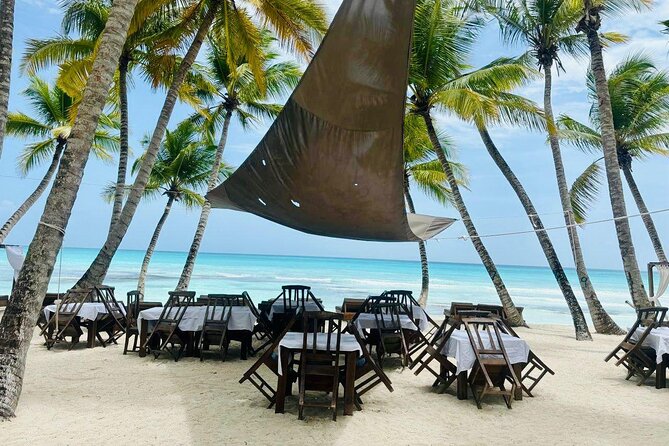 Saona Island Full Day Tour with Buffet Lunch, Paella, & Open Bar - Why Saona Island makes a strong day trip from Punta Cana