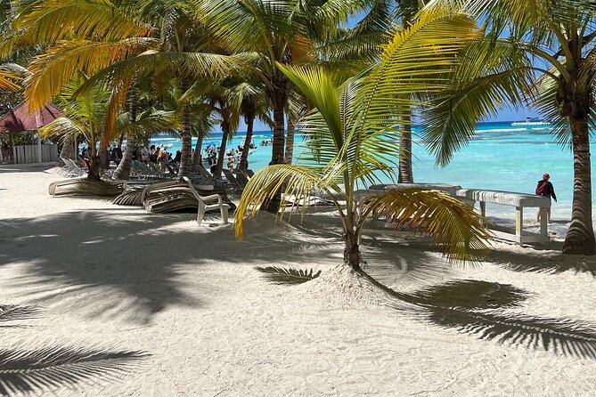 Saona Island Full Day Tour with Buffet Lunch, Paella, & Open Bar - Palmilla Natural Pool: 30 minutes in clear water