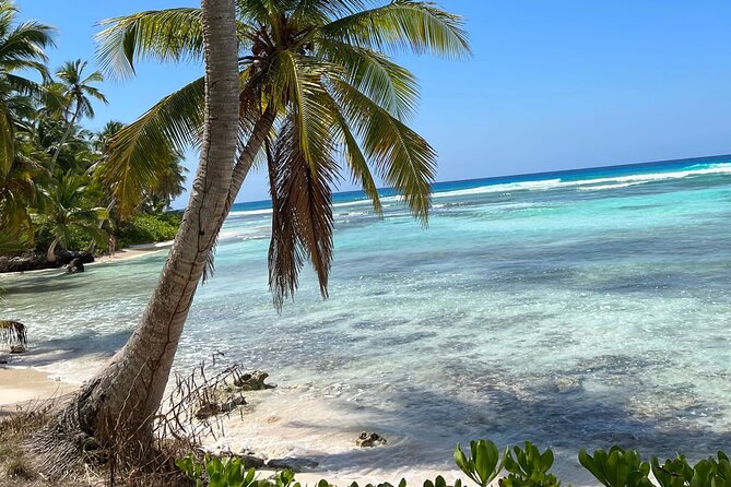 Saona Island Full Day Tour with Buffet Lunch, Paella, & Open Bar - Saona Island: three hours for lunch and beach time