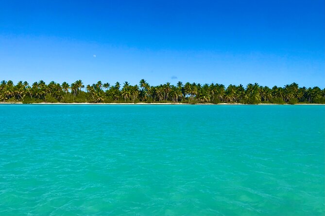 Saona Island Full Day Tour with Buffet Lunch, Paella, & Open Bar - The return journey and the true length of the day