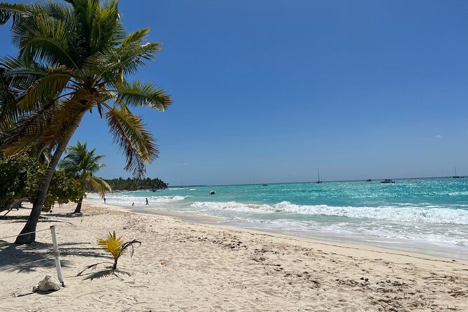 Saona Island Full Day Tour with Buffet Lunch, Paella, & Open Bar - Who will get the most from this $75.05 package