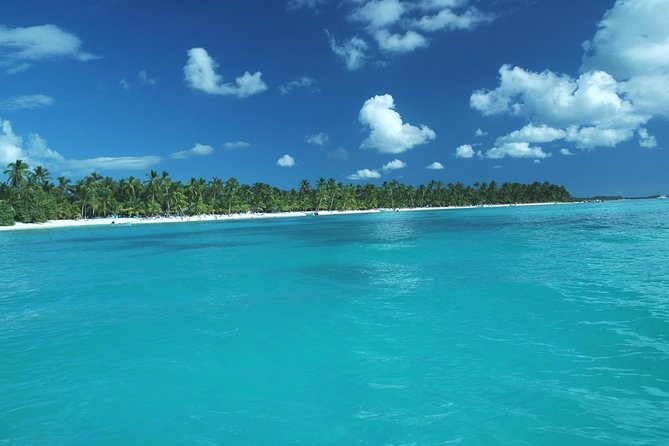 Saona Island Full-Day Tour with Lunch from Punta Cana - Why Saona makes a strong day trip from Punta Cana