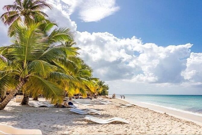 Saona Island Full-Day Tour with Lunch from Punta Cana - Catamaran sailing and the first swim stops