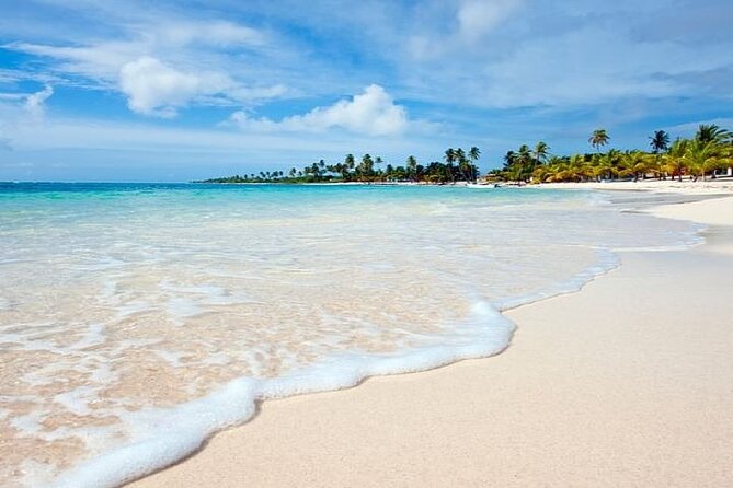 Saona Island Full-Day Tour with Lunch from Punta Cana - The natural pool and starfish stop