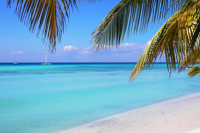 Saona island full day tours - catamarán party from santo domingo - Organization can make or break the day