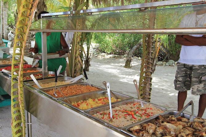 Saona island full day tours - catamarán party from santo domingo - Should you book the catamaran party?