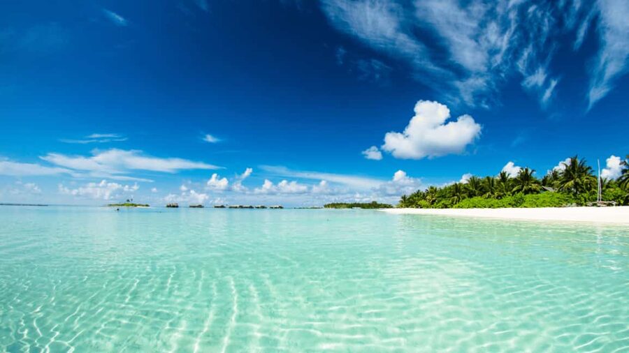 Saona Island: Hidden Beach & Natural Pool - Music, Rum, and the Mood on Board