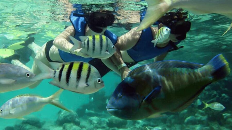 Saona Island: Hidden Beach & Natural Pool - Guides and Language Support