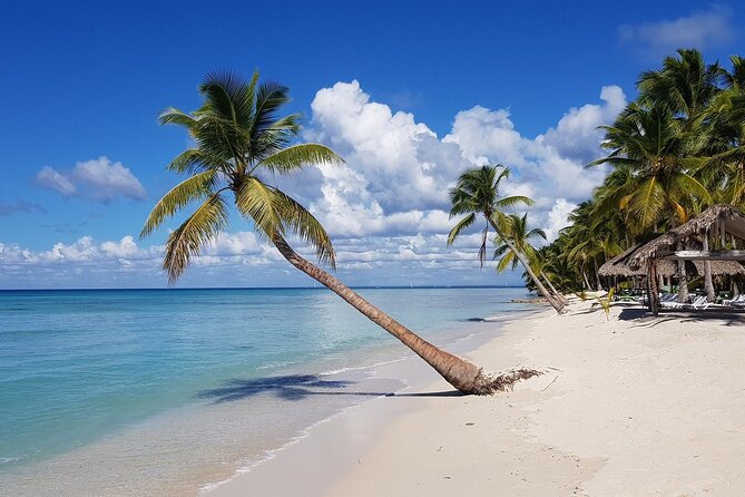 Saona Island, memorable all-inclusive experience, from Santo Domingo. - The natural pool, mangroves, and schools of fish