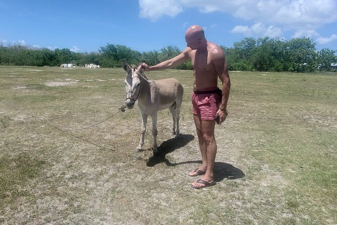 Saona Island Premium Discovery Tour from Punta Cana or Bayahíbe - Two hours around Mano Juan