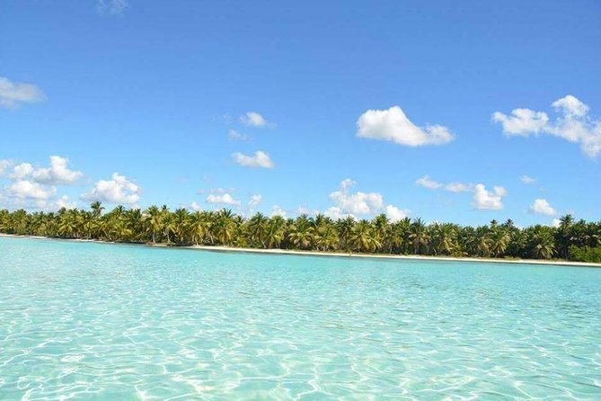 Saona Island Private +8 People Platinum Transfer - Why this private Saona Island day works for groups