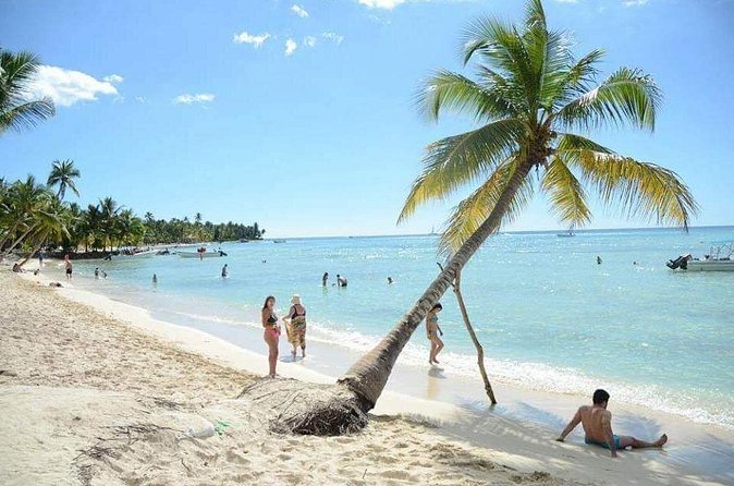 Saona Island Private +8 People Platinum Transfer - Snorkeling and the natural pool stop