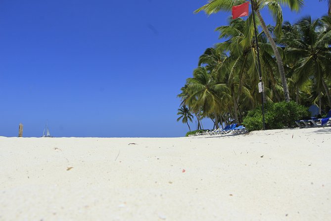 Saona Island Private Boat Tour with Lunch and Beverages - Lunch, drinks, and the important fine print