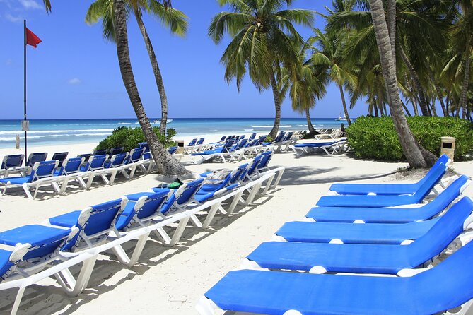 Saona Island Private Boat Tour with Lunch and Beverages - Service, comfort, and the private group size