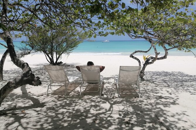 Saona island - Private Tour with a Luxury Speed Boat - Drinks, snacks, and the boat setup