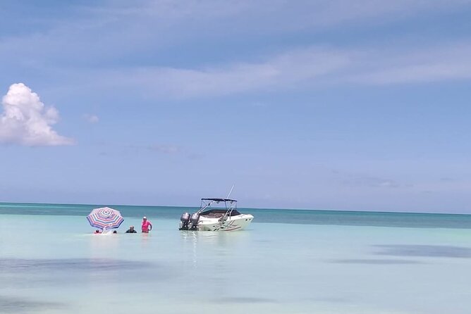 Saona island - Private Tour with a Luxury Speed Boat - Who will get the most from this six-hour trip