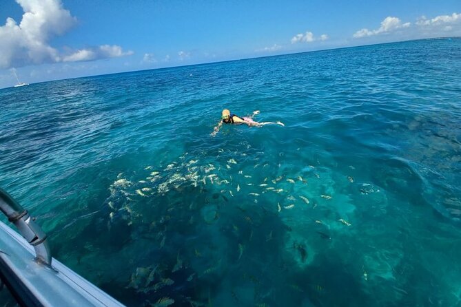 Saona island - Private Tour with a Luxury Speed Boat - What to confirm before you book