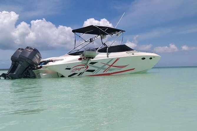 Saona island - Private Tour with a Luxury Speed Boat - Two hours on Saona Island