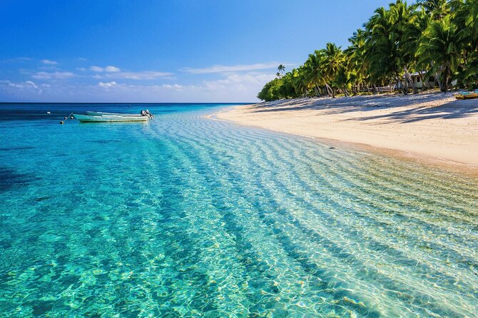 Saona Island : Punta Cana All Inclusive - Snorkeling, swimming, and what to pack