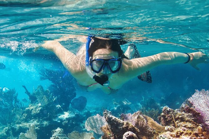 Saona Island : Punta Cana All Inclusive - Speedboat or catamaran across the Caribbean