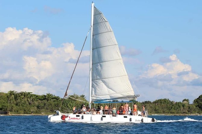 Saona Island Sailing Tour - All Inclusive - Saona Island, beaches, and open water