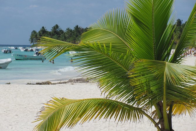 Saona Island small group and relax - luxury catamaran - Catuano reef: your first chance to snorkel