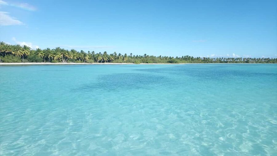 Saona Island: Small Group Virgin Beaches Cruise Day Trip - The turtle nursery and a useful conservation lesson