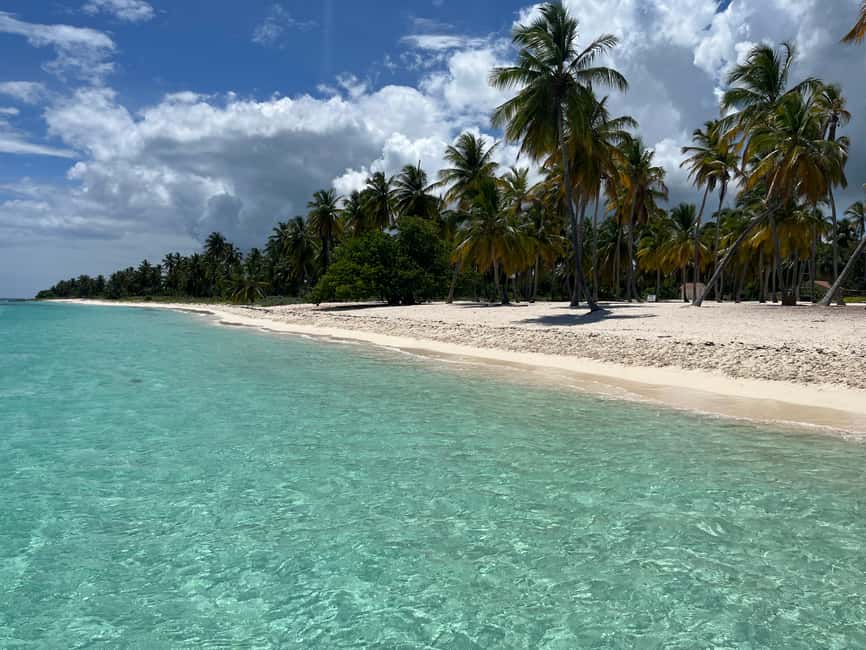 Saona Island: Small Group Virgin Beaches Cruise Day Trip - Food, drinks, and the real value of $128