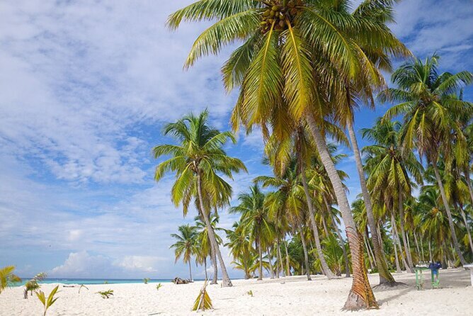 Saona Island Tour and Catamaran Party from Punta Cana - Who will enjoy this tour most