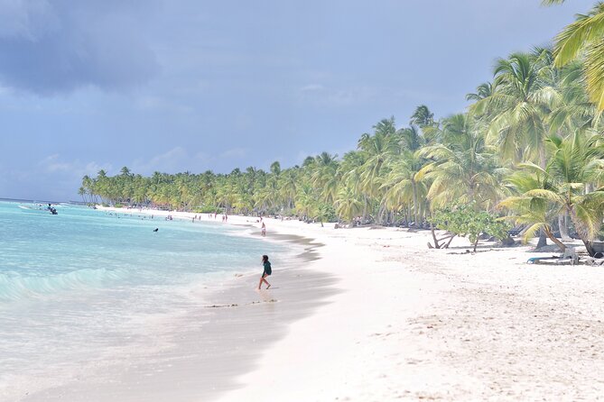 Saona Island Tour – Caribbean All Inclusive Escape - Saona’s beach time, palm shade, and clear water