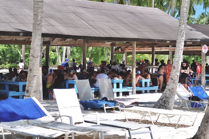 Saona Island Tour – Caribbean All Inclusive Escape - Fitness, weather, and what to clarify
