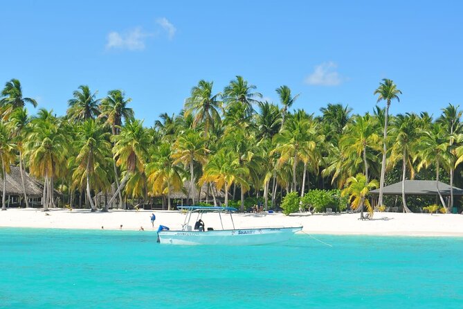 Saona Island Tour from Juan Dolio with pickup - Key points at a glance