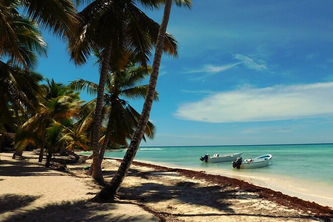 Saona Island Tour from Juan Dolio with pickup - Leaving Juan Dolio at 7:10 a.m.