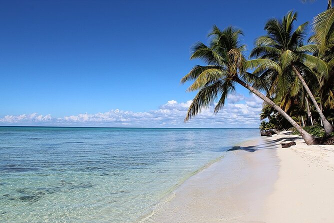 Saona Island Tour from Juan Dolio with pickup - Buffet lunch and the practical value of all-inclusive service
