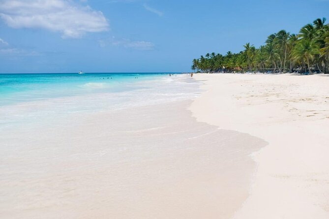 Saona Island Tour From Punta Cana - Returning to La Romana and Punta Cana