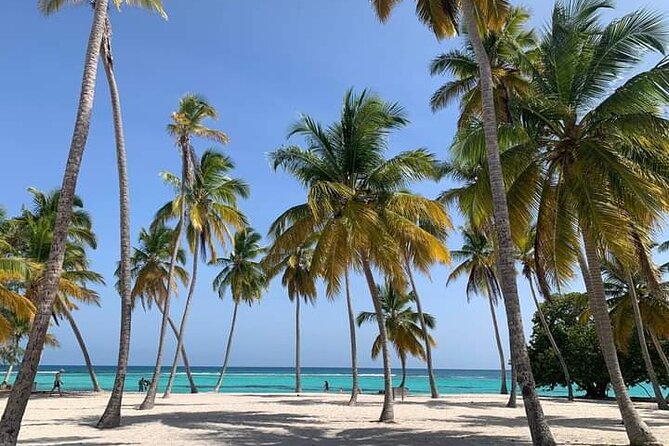 Saona Island Tour from Punta Cana All Inclusive - Saona Island is worth the long day