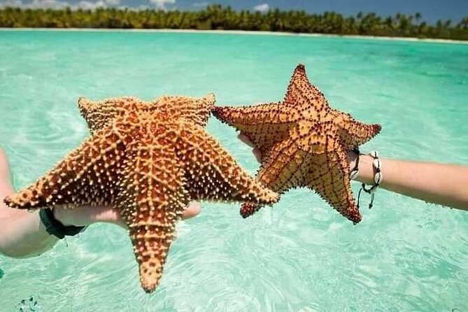 Saona Island Tour from Punta Cana All Inclusive - The road from Punta Cana to La Romana