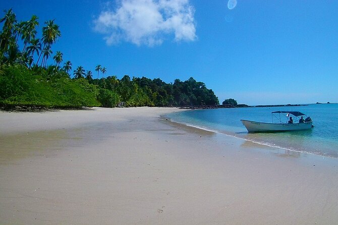 Saona Island Tour from Punta Cana with Lunch, Open Bar & Pickup - Swimming at the Natural Pool