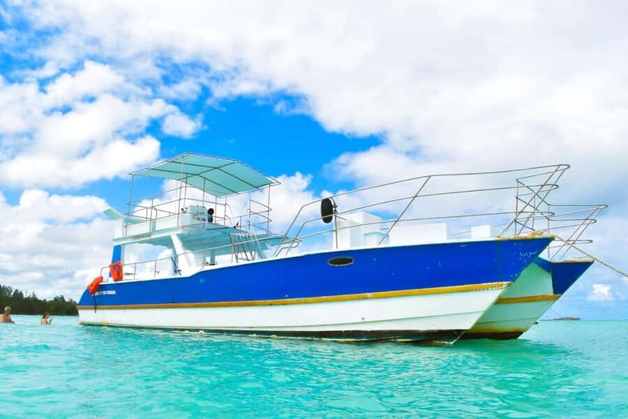 Saona Island Tour From Santo Domingo with Lunch and Pickup - The catamaran ride back to Bayahibe