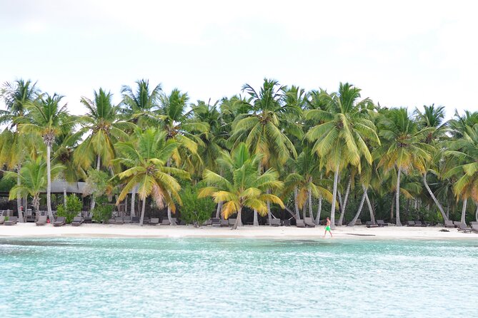 Saona Island Tour in Punta Cana - Is $95 a fair price?