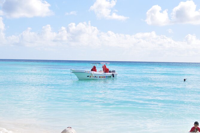 Saona Island Tour in Punta Cana - Practical ways to make the day better