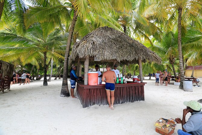 Saona Island Tour with Altos de Chavón from Punta Cana - The catamaran return and Caribbean music
