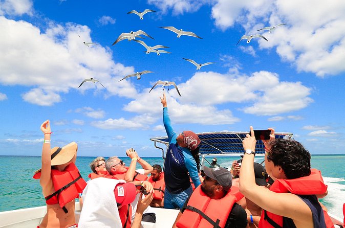 Saona Island Tour with Altos de Chavón from Punta Cana - Transport, guides, and the cost of a long day