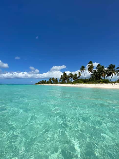 Saona Island VIP: 4 Beaches , Mano Juan & Canto de la Playa - Key points at a glance