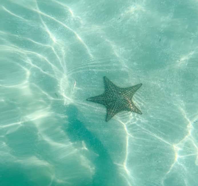 Saona Island VIP: 4 Beaches , Mano Juan & Canto de la Playa - Speedboat across the Caribbean
