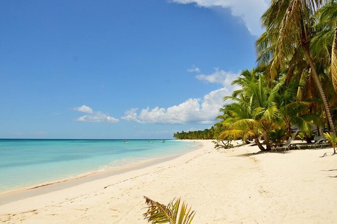 Saona Island VIP Experience – Private Boat for Up to 20 People - Dominican buffet and open bar