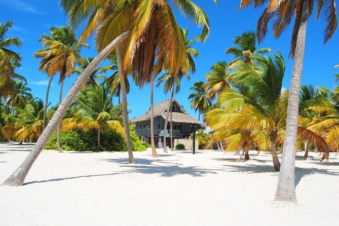 Saona Island VIP Full Day All Inclusive Excursion - Canto de la Playa and the private buffet