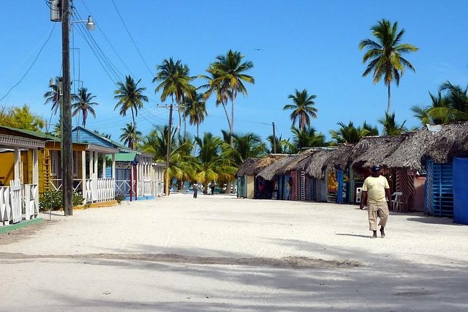 Saona Island VIP Full Day All Inclusive Excursion - Who will enjoy this Saona outing most?
